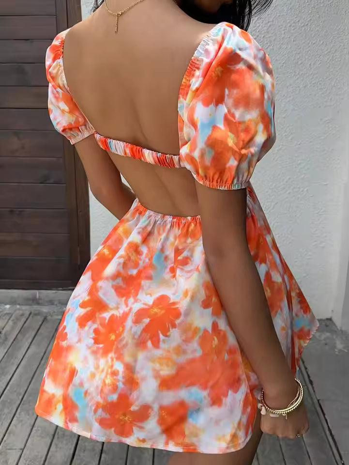 RigveX